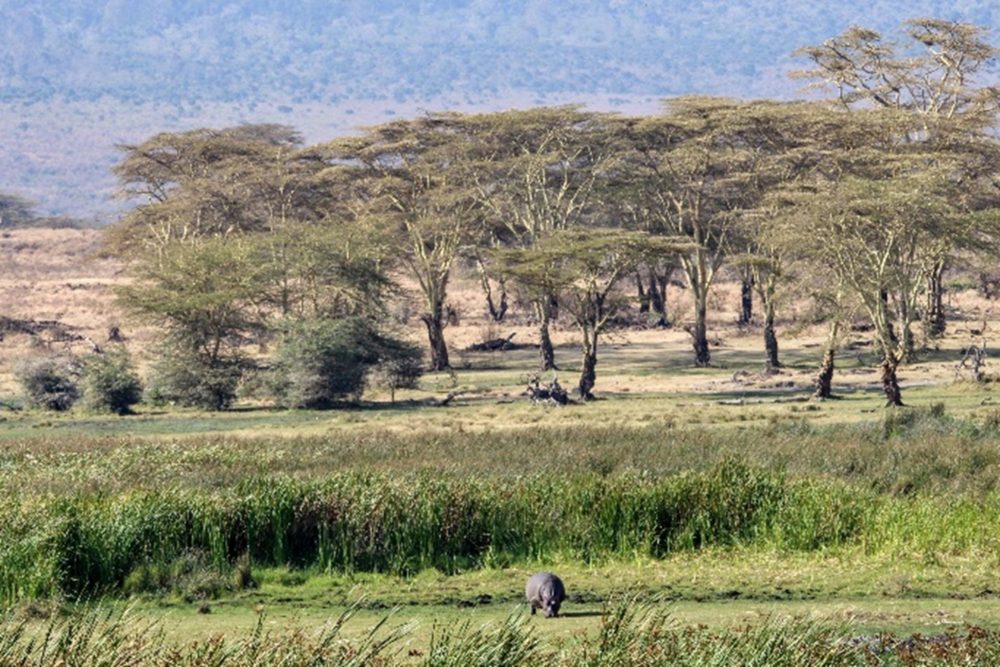 Tanzania